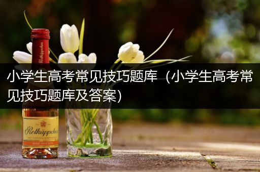 小学生高考常见技巧题库（小学生高考常见技巧题库及答案）