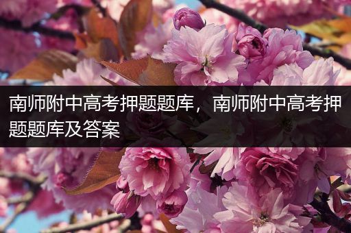 南师附中高考押题题库，南师附中高考押题题库及答案