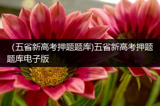 （五省新高考押题题库)五省新高考押题题库电子版