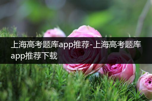上海高考题库app推荐-上海高考题库app推荐下载