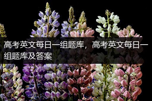 高考英文每日一组题库，高考英文每日一组题库及答案
