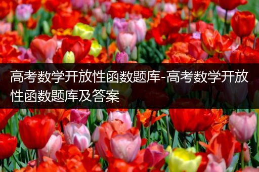 高考数学开放性函数题库-高考数学开放性函数题库及答案