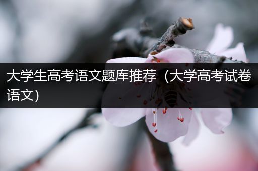 大学生高考语文题库推荐（大学高考试卷语文）