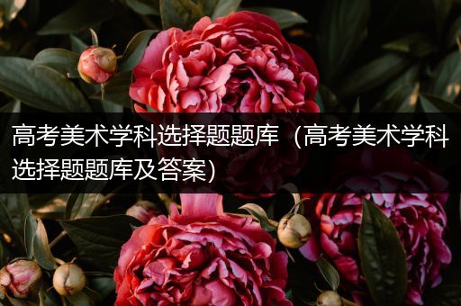 高考美术学科选择题题库（高考美术学科选择题题库及答案）