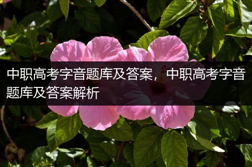 中职高考字音题库及答案，中职高考字音题库及答案解析
