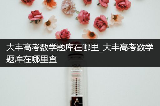 大丰高考数学题库在哪里_大丰高考数学题库在哪里查