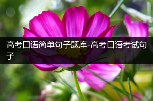 高考口语简单句子题库-高考口语考试句子