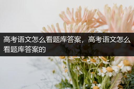 高考语文怎么看题库答案，高考语文怎么看题库答案的