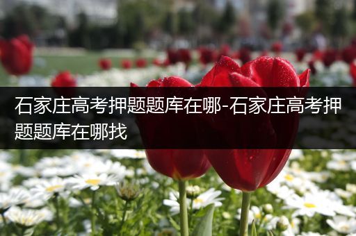 石家庄高考押题题库在哪-石家庄高考押题题库在哪找