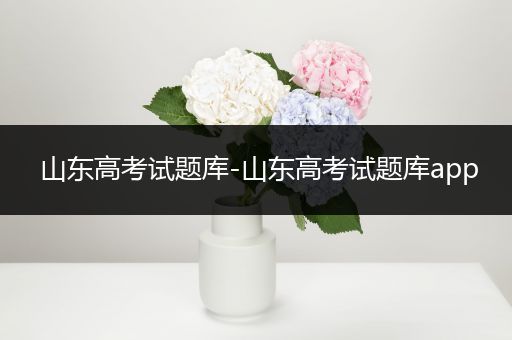 山东高考试题库-山东高考试题库app