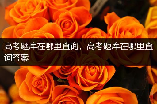 高考题库在哪里查询，高考题库在哪里查询答案