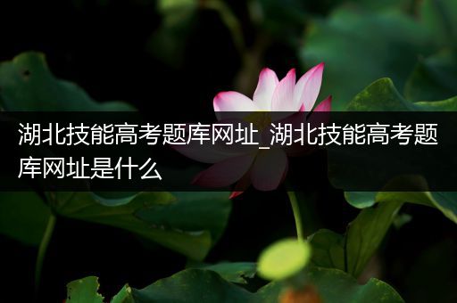 湖北技能高考题库网址_湖北技能高考题库网址是什么