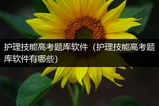 护理技能高考题库软件（护理技能高考题库软件有哪些）