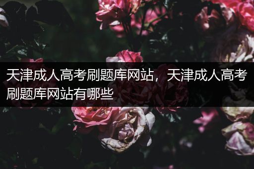 天津成人高考刷题库网站，天津成人高考刷题库网站有哪些