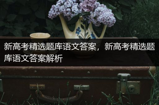 新高考精选题库语文答案，新高考精选题库语文答案解析
