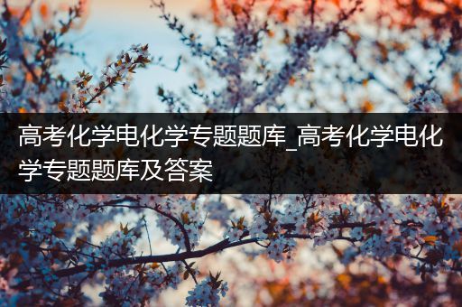 高考化学电化学专题题库_高考化学电化学专题题库及答案