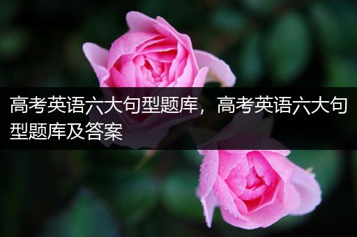 高考英语六大句型题库，高考英语六大句型题库及答案