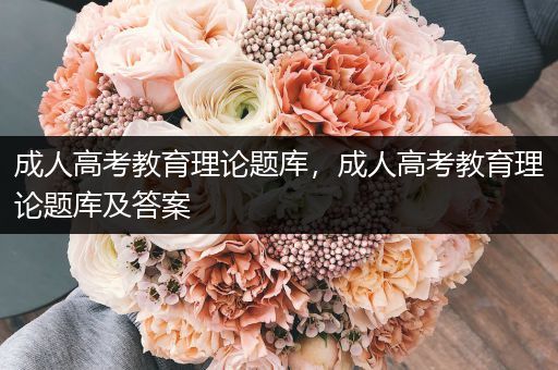 成人高考教育理论题库，成人高考教育理论题库及答案