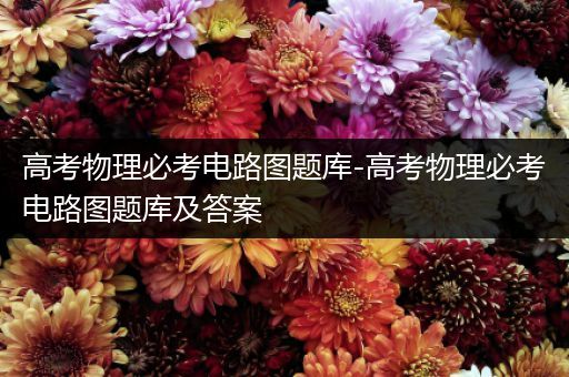 高考物理必考电路图题库-高考物理必考电路图题库及答案