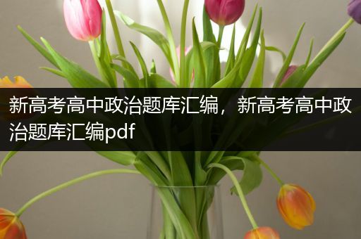 新高考高中政治题库汇编，新高考高中政治题库汇编pdf