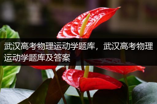武汉高考物理运动学题库，武汉高考物理运动学题库及答案