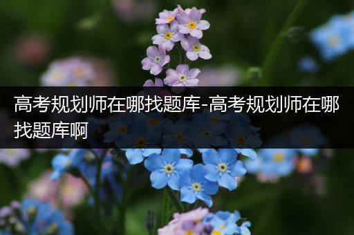 高考规划师在哪找题库-高考规划师在哪找题库啊