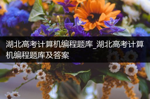 湖北高考计算机编程题库_湖北高考计算机编程题库及答案