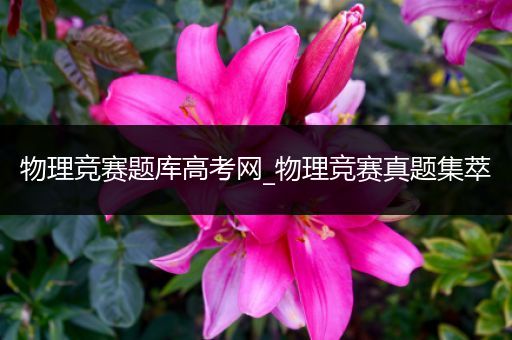物理竞赛题库高考网_物理竞赛真题集萃