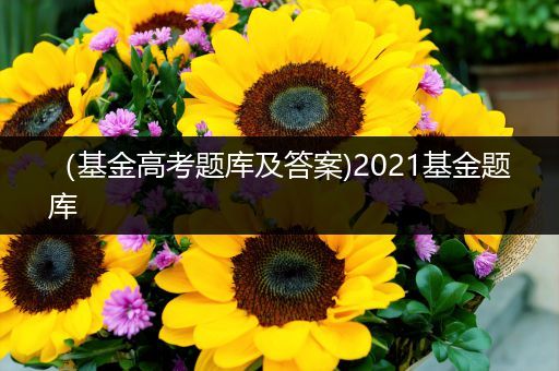 （基金高考题库及答案)2021基金题库