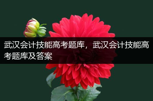 武汉会计技能高考题库，武汉会计技能高考题库及答案
