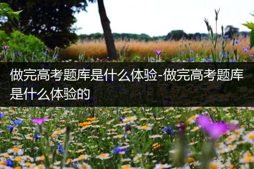 做完高考题库是什么体验-做完高考题库是什么体验的