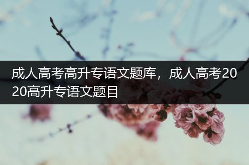 成人高考高升专语文题库，成人高考2020高升专语文题目