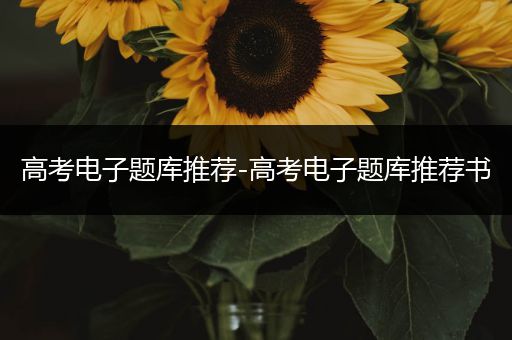 高考电子题库推荐-高考电子题库推荐书