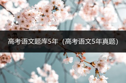 高考语文题库5年（高考语文5年真题）