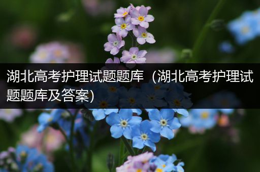 湖北高考护理试题题库（湖北高考护理试题题库及答案）