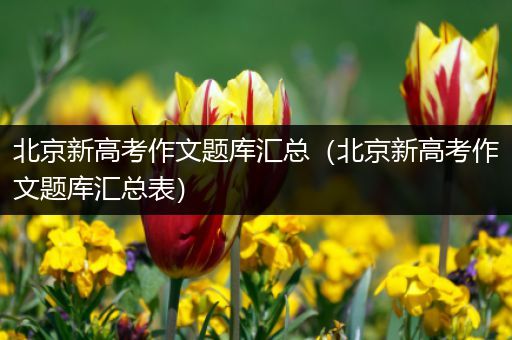 北京新高考作文题库汇总（北京新高考作文题库汇总表）