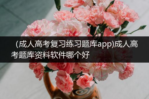 （成人高考复习练习题库app)成人高考题库资料软件哪个好