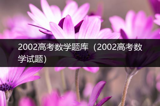 2002高考数学题库（2002高考数学试题）