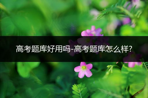 高考题库好用吗-高考题库怎么样?