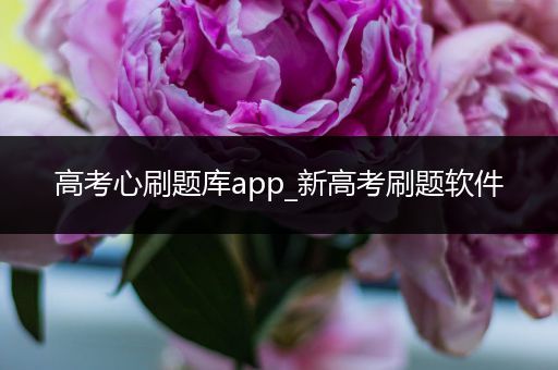 高考心刷题库app_新高考刷题软件