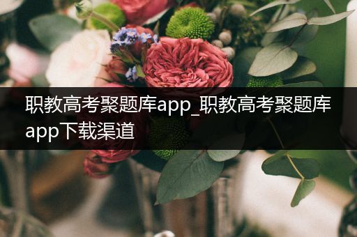 职教高考聚题库app_职教高考聚题库app下载渠道