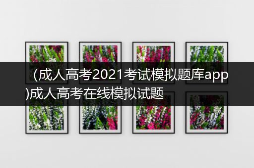 （成人高考2021考试模拟题库app)成人高考在线模拟试题