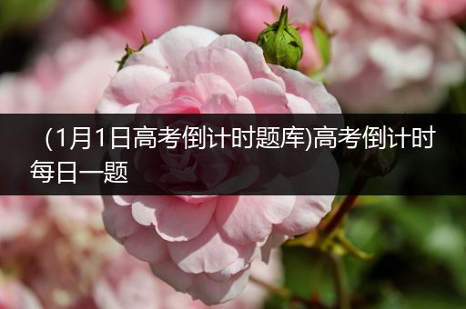 （1月1日高考倒计时题库)高考倒计时每日一题