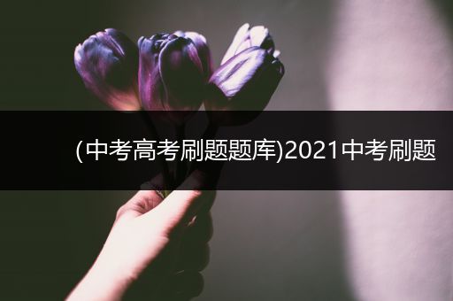 （中考高考刷题题库)2021中考刷题