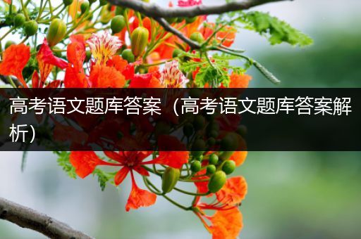 高考语文题库答案（高考语文题库答案解析）