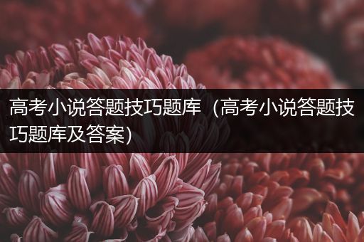 高考小说答题技巧题库（高考小说答题技巧题库及答案）