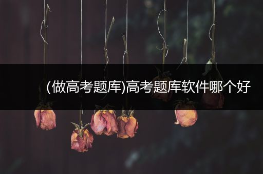 （做高考题库)高考题库软件哪个好