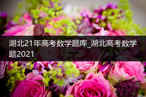 湖北21年高考数学题库_湖北高考数学题2021