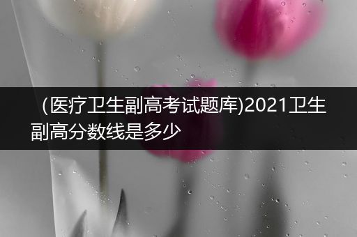 （医疗卫生副高考试题库)2021卫生副高分数线是多少