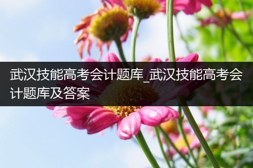 武汉技能高考会计题库_武汉技能高考会计题库及答案